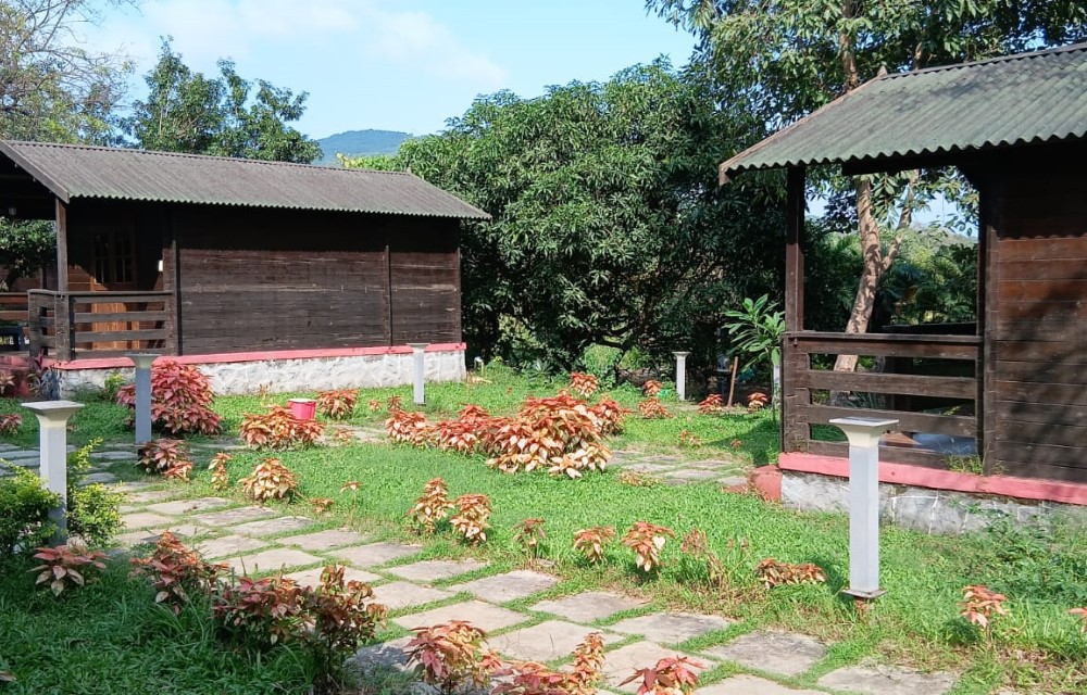 Gallery Picture